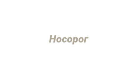 Логотип компании Носорог