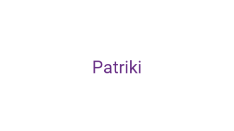Логотип компании Patriki