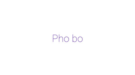 Логотип компании Pho bo