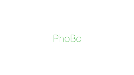 Логотип компании PhoBo