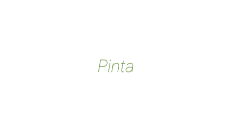 Логотип компании Pinta