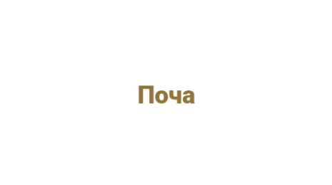 Логотип компании Поча