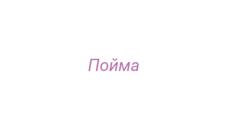 Логотип компании Пойма