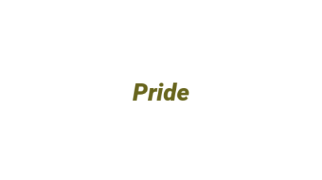 Логотип компании Pride