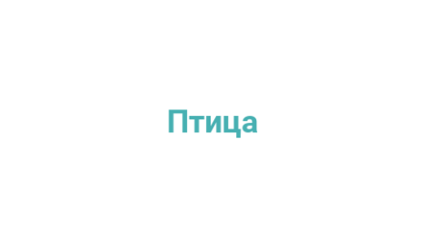 Логотип компании Птица