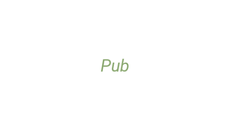 Логотип компании Pub