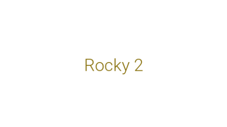Логотип компании Rocky 2