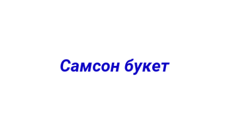 Логотип компании Самсон букет