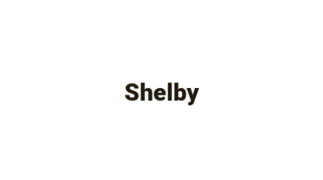 Логотип компании Shelby