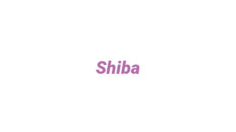 Логотип компании Shiba