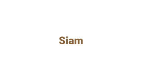 Логотип компании Siam