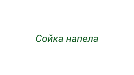 Логотип компании Сойка напела