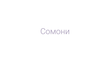 Логотип компании Сомони