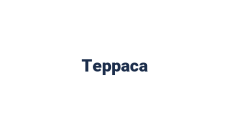 Логотип компании Терраса