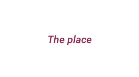Логотип компании The place