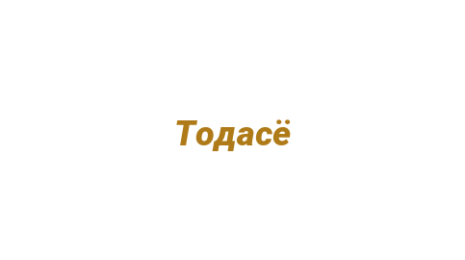 Логотип компании Тодасё