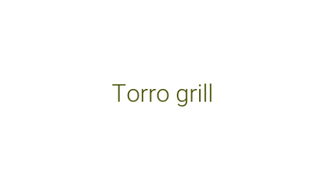 Логотип компании Torro grill