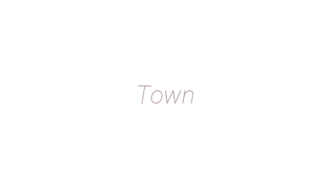 Логотип компании Town