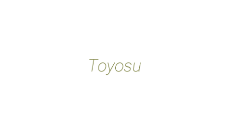 Логотип компании Toyosu