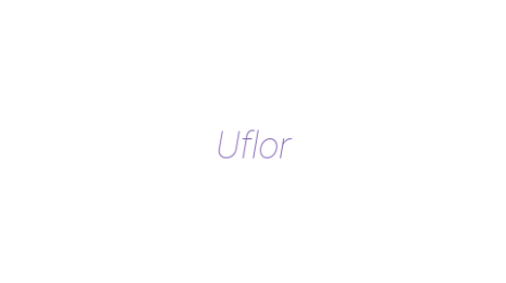 Логотип компании Uflor