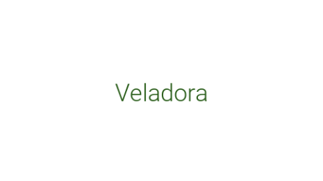 Логотип компании Veladora