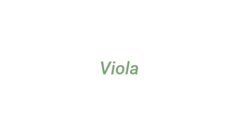 Логотип компании Viola