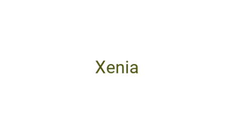 Логотип компании Xenia