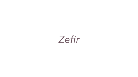 Логотип компании Zefir