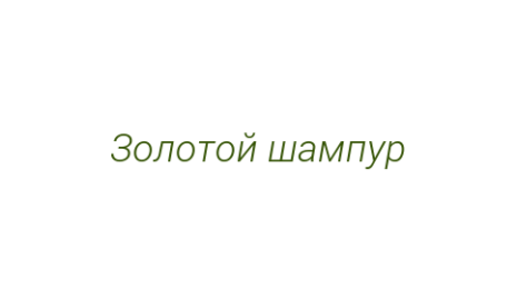 Логотип компании Золотой шампур