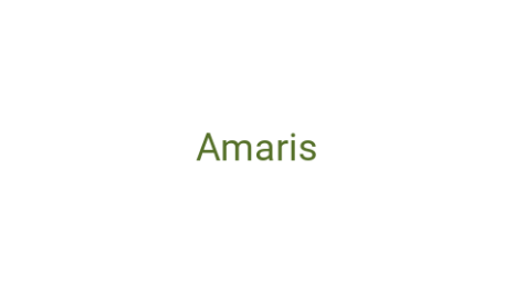 Логотип компании Amaris