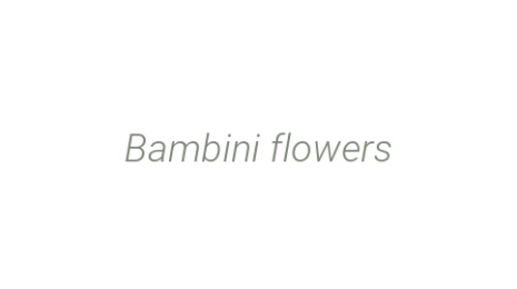 Логотип компании Bambini flowers
