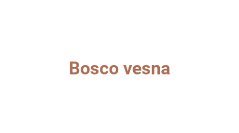 Логотип компании Bosco vesna