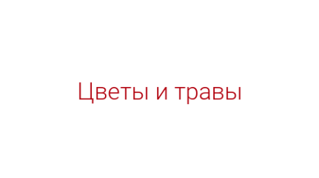 Логотип компании Цветы и травы