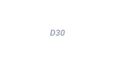 Логотип компании D30
