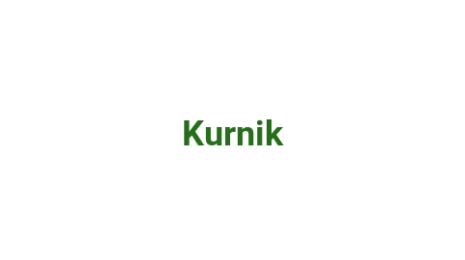 Логотип компании Kurnik