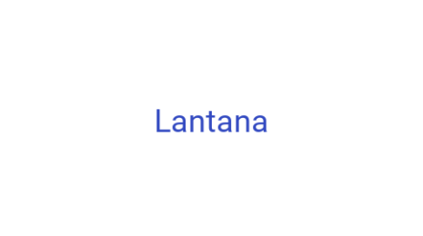 Логотип компании Lantana