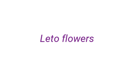 Логотип компании Leto flowers