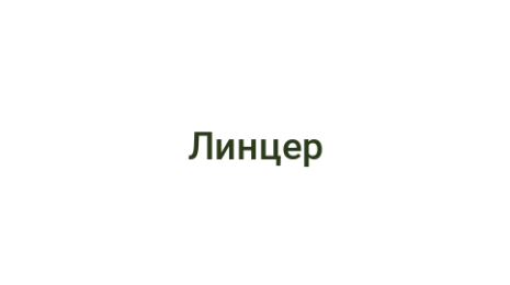 Логотип компании Линцер