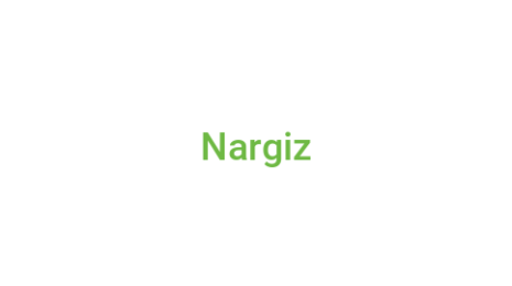 Логотип компании Nargiz