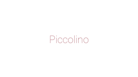 Логотип компании Piccolino