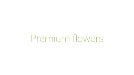 Логотип компании Premium flowers