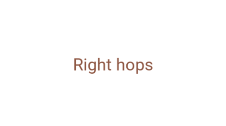 Логотип компании Right hops