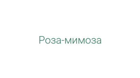 Логотип компании Роза-мимоза
