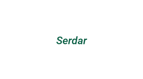 Логотип компании Serdar
