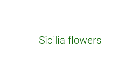 Логотип компании Sicilia flowers