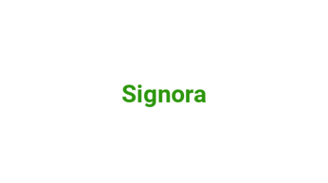 Логотип компании Signora