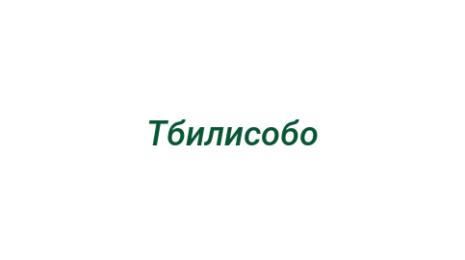 Логотип компании Тбилисобо