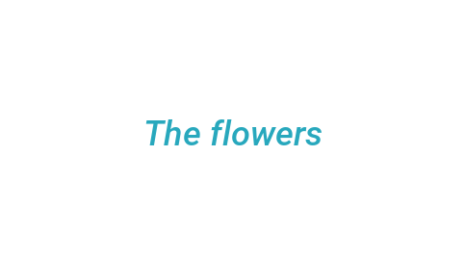 Логотип компании The flowers