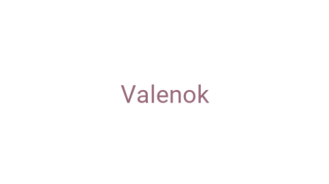 Логотип компании Valenok