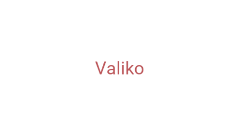 Логотип компании Valiko